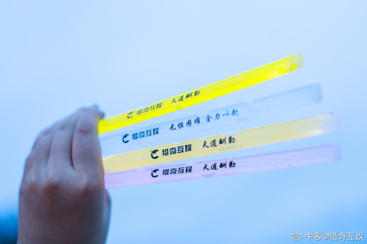 游戏发行公司职位介绍-你想成为什么样的好奇星？